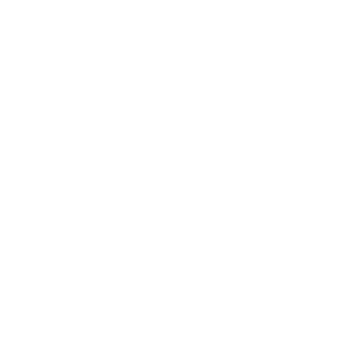 Cygnus Logo